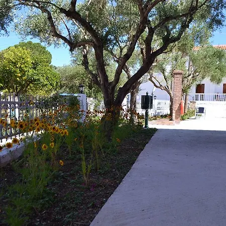 Giannis Αλυκών